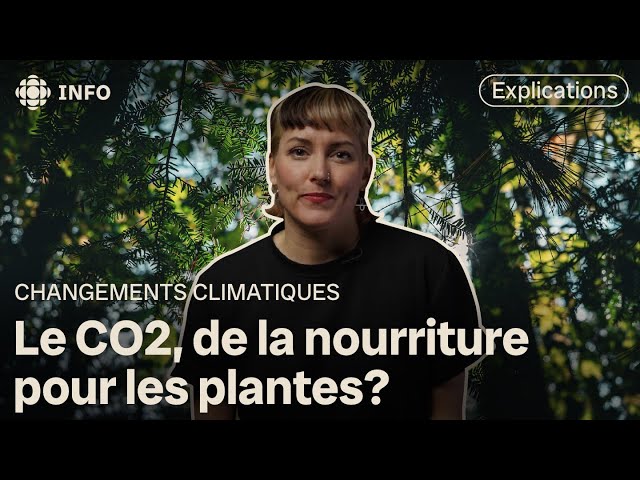 ⁣Le CO2 est-il bénéfique ou nocif pour la planète?