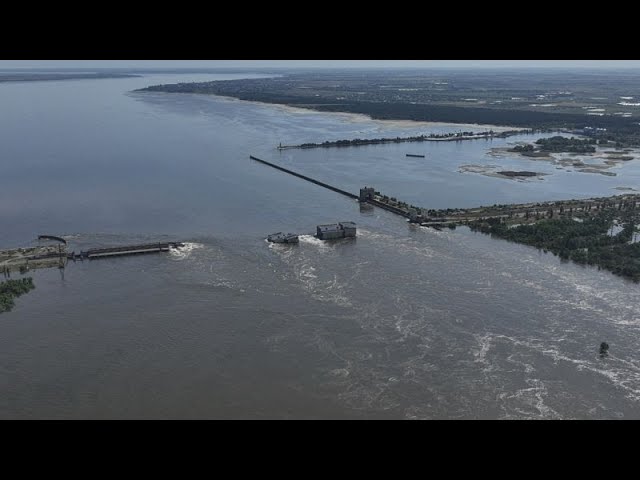 ⁣'We will try to protect what we can’ – Ukraine’s environment minister at COP29