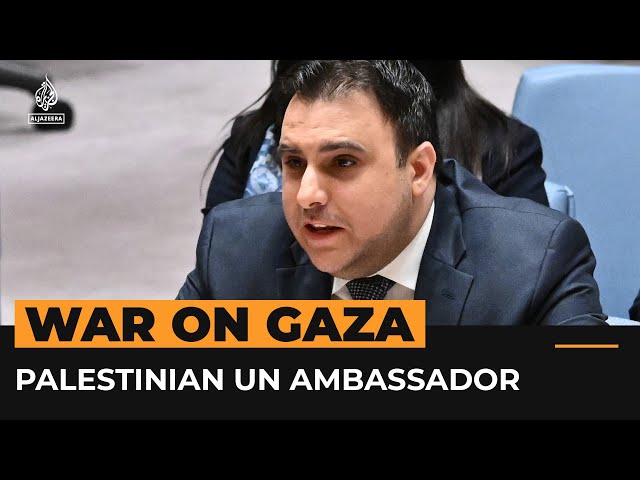 ⁣Palestinian UN ambassador calls out Security Council inaction | AJ #Shorts