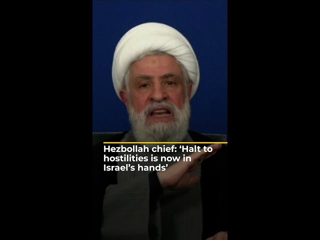 ⁣Hezbollah chief: ‘Halt to hostilities is now in Israel's hands’ | AJ#shorts