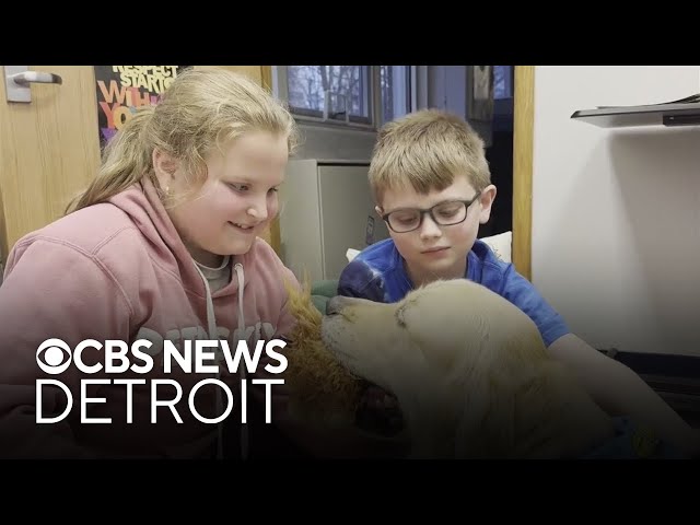 ⁣Redford Union School District adds 6 therapy dogs