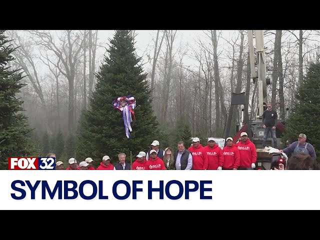 ⁣White House Christmas tree becomes symbol of hope for Hurricane Helene victims