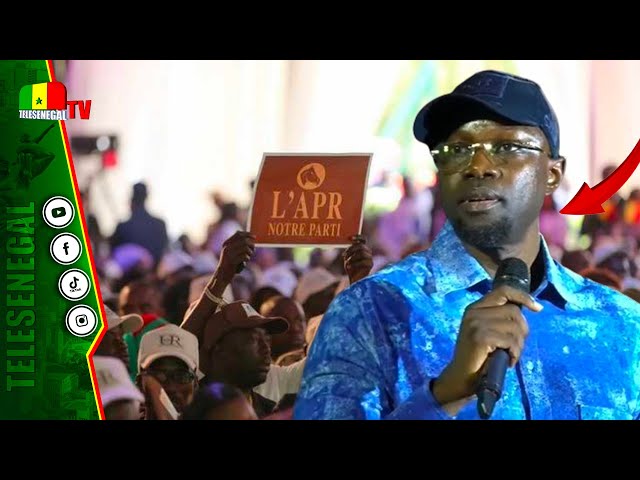 ⁣Diallo APR Démonte Sonko : Révélations Choc "amoul xam xam géré Sénégal… thiép yokouna…"