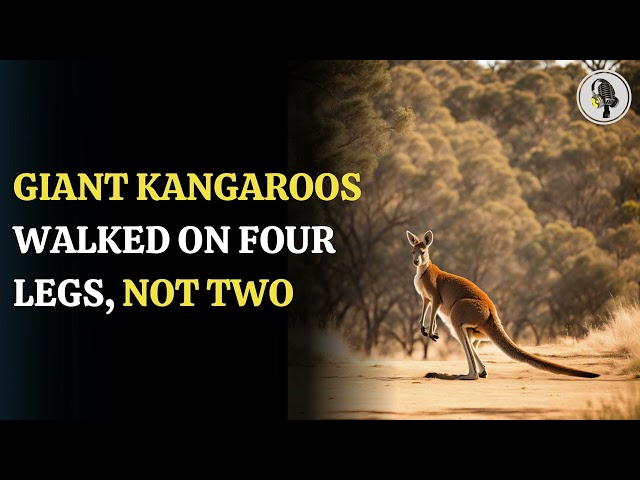 ⁣Ancient Kangaroos: The Surprising Truth About Their Walk | WION Podcast