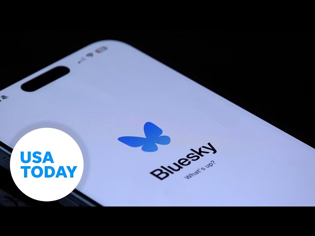 ⁣What is Bluesky? 'X' alternative sees millions of new accounts