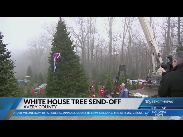 Avery Co. Fraser fir on it's way to the White House