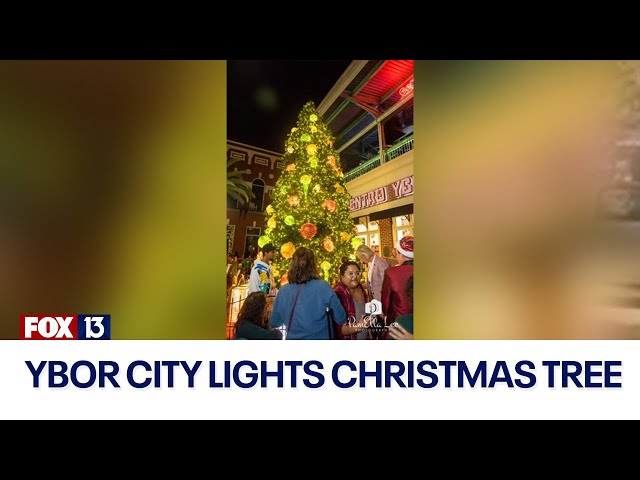 WATCH LIVE: Ybor City lights annual Christmas Tree