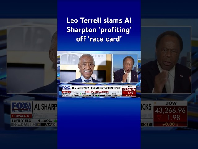 ⁣SHARPTON’S ‘A DINOSAUR’: Leo Terrell rips into ‘irrelevant’ Al Sharpton #shorts