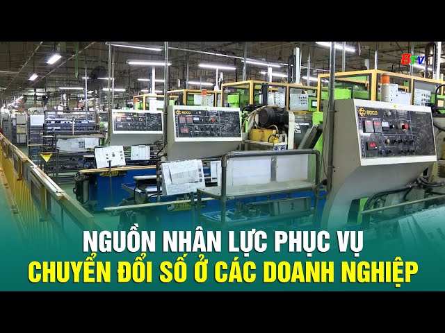 Nguồn nhân lực phục vụ chuyển đổi số ở các doanh nghiệp