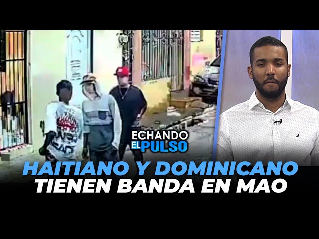 ⁣Haitiano y Dominicano tienen una banda en mao | Echando El Pulso