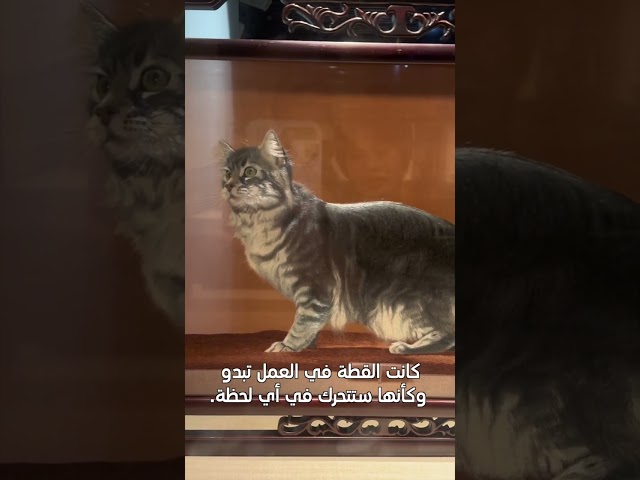 ⁣القطة في عمل التطريز "سو تشو"