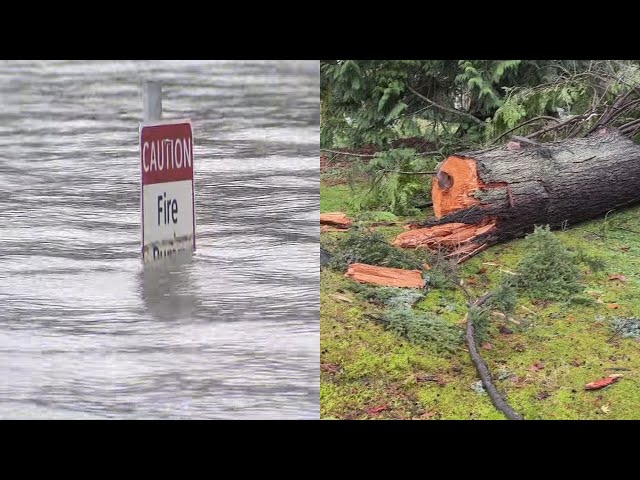 ⁣Power outages across BC caused by ‘bomb cyclone’ hit