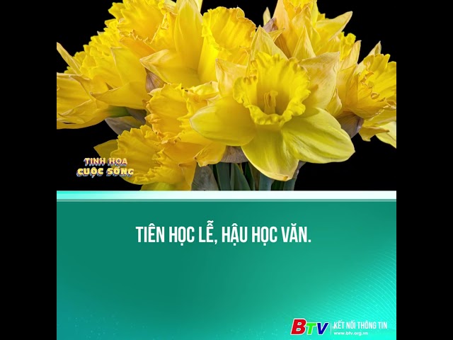 Tiên học lễ, hậu học văn