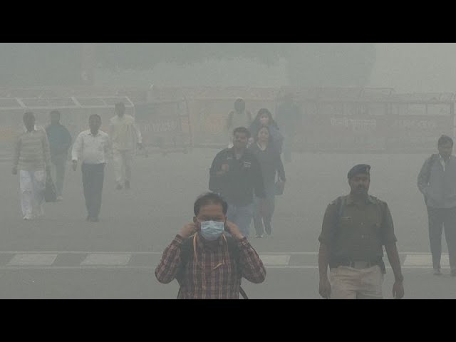 ⁣NO COMMENT: Nueva Delhi sigue asfixiada por el aire contaminado