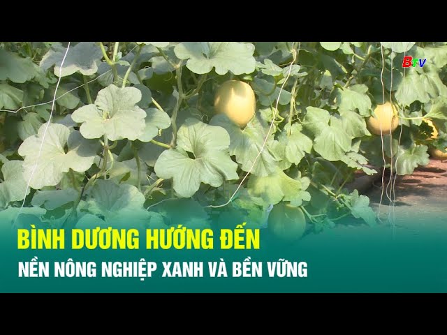 Bình Dương hướng đến nền nông nghiệp xanh và bền vững