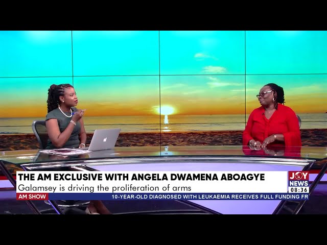 ⁣Exclusive: Galamsey is driving the proliferation of arms - Angela Dwamena Aboagye | AM Show