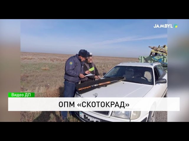 ОПМ «Скотокрад»