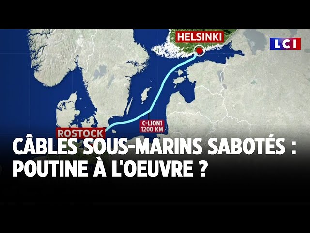 ⁣Câbles sous-marins sabotés : Poutine à l'oeuvre ?｜LCI