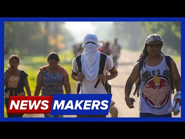 ⁣Is a Mass Deportation Coming? | Newsmakers - November 21, 2024