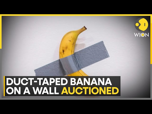 ⁣Duct-Taped Banana on a Wall Sold for $6 Million at Art Auction | Latest English News | WION