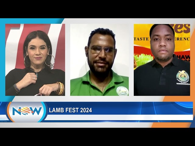 ⁣Lamb Fest 2024