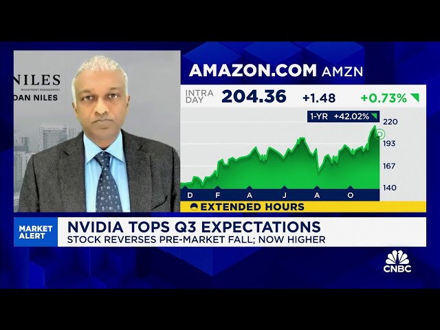 ⁣Commentary on Nvidia's earnings call saved stock from falling further, says Dan Niles