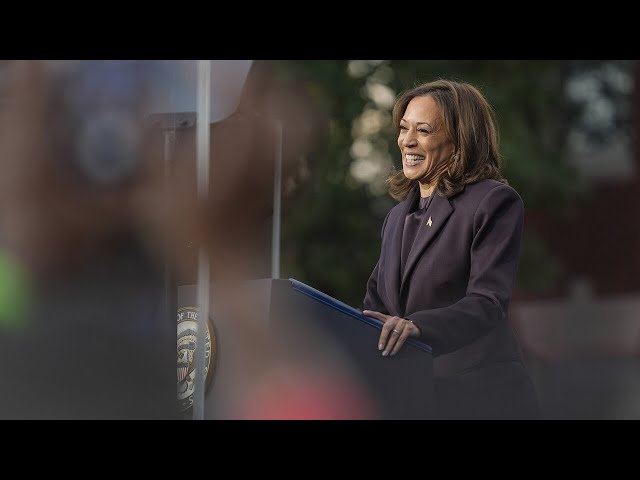 Shock poll shows Kamala Harris still Democrats pick for 2028 election