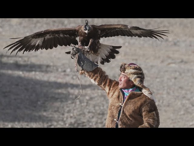 ⁣Golden Eagles and Kazakh traditions - On Assignment | ITV News