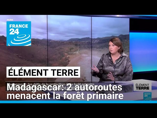 ⁣Madagascar: la construction de 2 autoroutes menace la forêt primaire • FRANCE 24