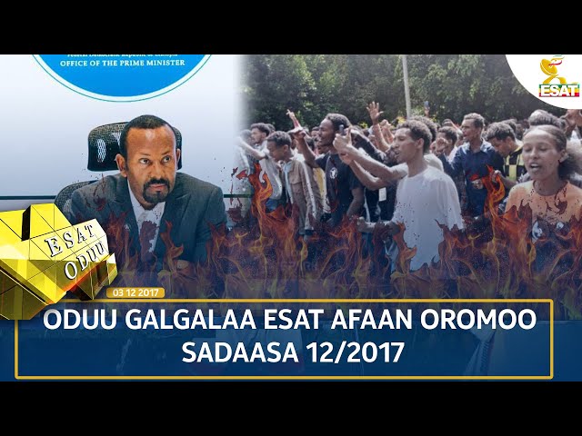 ⁣Ethiopia - ESAT ODUU 21 NOVEMBER 2024