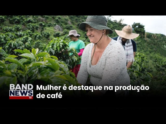 ⁣30% das propriedades cafeeiras sob gestão de mulheres | BandNewsTV