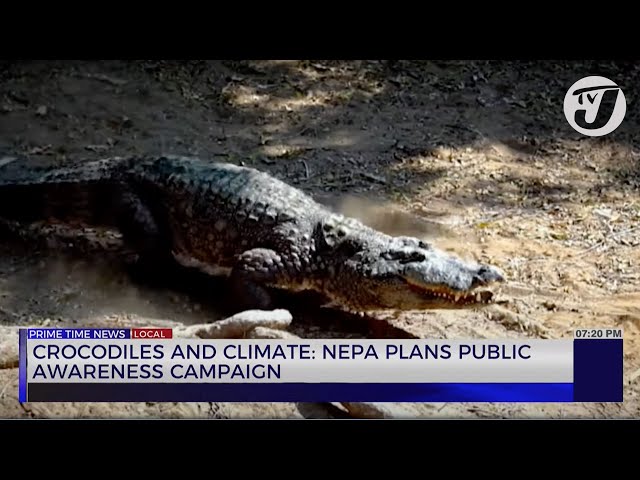 ⁣Crocodiles and Climate: Nepa Plans Public Awareness Campaign | TVJ News