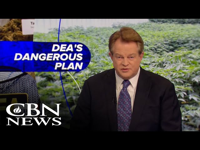 ⁣Dangers of Marijuana | News on The 700 Club: November 21, 2024