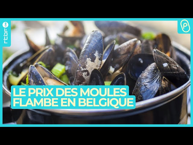 Le prix des moules frites et des croquettes s’envolent en Belgique - On n'est pas des Pigeons