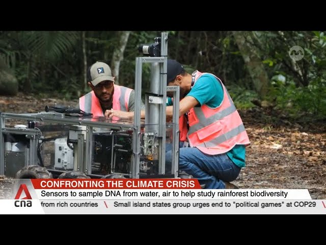 ⁣New tech for researchers to remotely survey rainforests in Southeast Asia