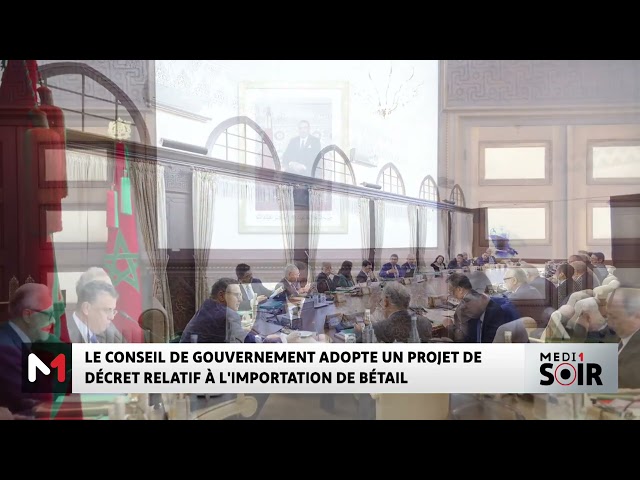 ⁣Le Conseil de gouvernement adopte un projet de décret relatif à l´importation de bétail