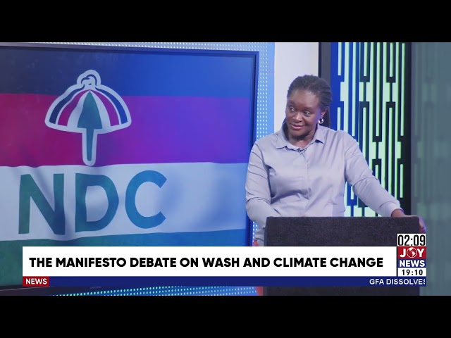 ⁣NDC to scrap Sanitation Ministry, merge it with Environment, Science & Tech Ministry - Prof. Klu