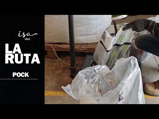 ⁣"La Ruta" de Pock: Empresa crea productos únicos hecho 100% de plástico reciclado