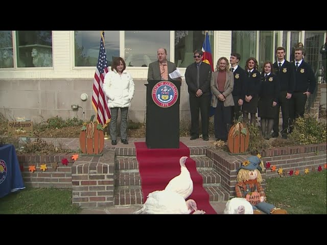 ⁣Colorado Gov. Polis pardons 4 turkeys in honor of Thanksgiving