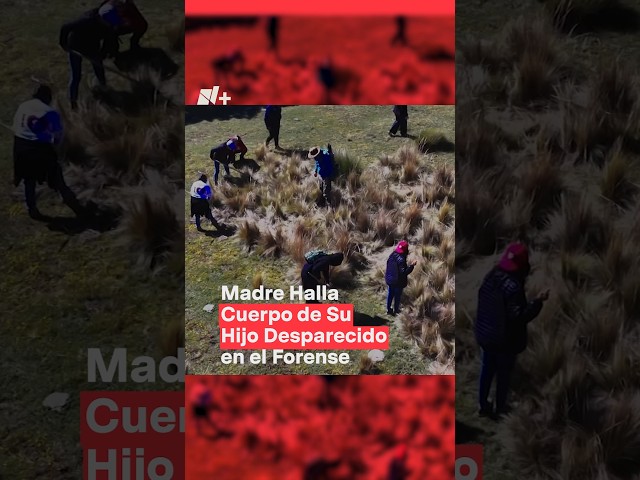 ⁣Madre halla cuerpo de su hijo desaparecido en el forense #nmas #desaparecidos #shorts