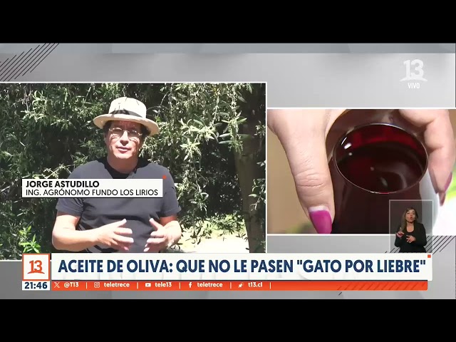 ⁣Aceite de Olivia: en qué fijarse y cómo identificar el producto real | Lo Barato Cuesta Caro