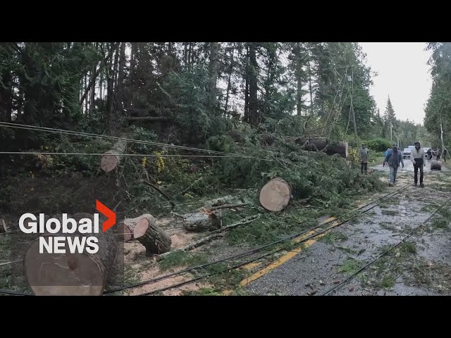 ⁣Bomb cyclone: Another fall storm forecast to impact BC coast as residents continue to clean up