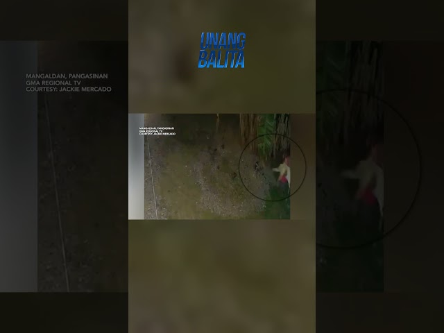 ⁣Pagnanakaw ng lalaki sa isang kambing, huli-cam #shorts | Unang Balita