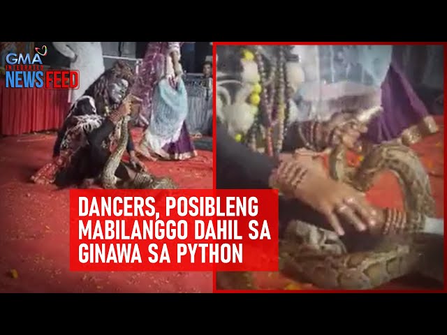 ⁣Dancers, posibleng mabilanggo dahil sa ginawa sa python | GMA Integrated Newsfeed