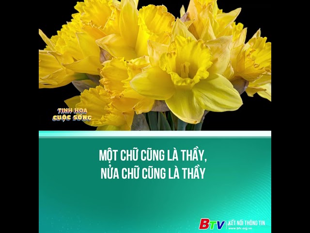 ⁣Một chữ cũng là thầy, nửa chữ cũng là thầy