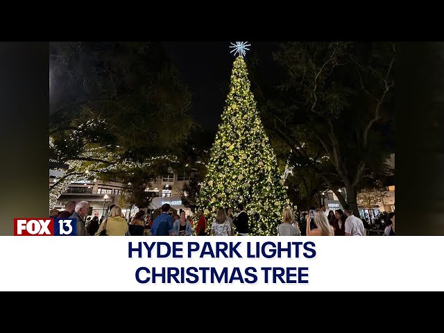 ⁣WATCH LIVE: Hyde Park Village lights town Christmas tree