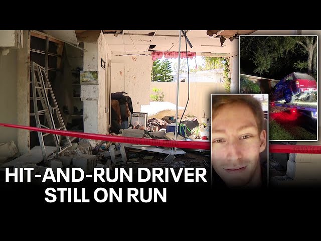 ⁣FHP is hunting for Pasco hit-and-run driver still on the run