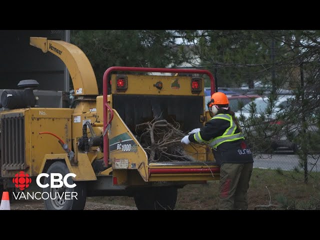 ⁣Another storm approaches Vancouver Island as crews finish restoring power to thousands