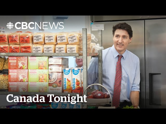 ⁣Will Trudeau's temporary tax holiday really help families? | Canada Tonight