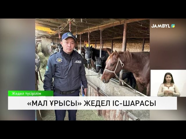 ⁣«Мал ұрысы» жедел іс-шарасы